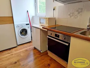 Pronájem bytu 1+1, Horka nad Moravou, Sadová, 30 m2