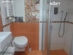 Pronájem bytu 2+1, České Budějovice, Jar. Ježka, 65 m2
