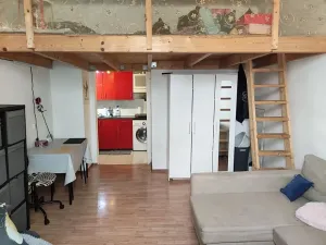 Pronájem bytu 1+kk, Praha - Vršovice, Orelská, 26 m2