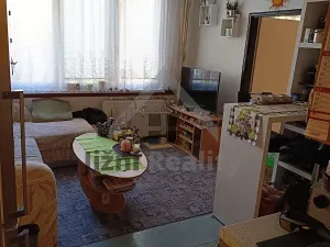 Prodej bytu 1+1, České Budějovice, Puklicova, 39 m2