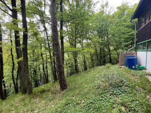 Prodej chaty, Kaliště, 30 m2