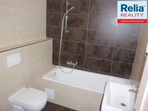 Pronájem bytu 2+kk, Liberec, Riegrova, 44 m2
