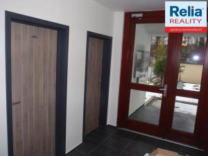 Pronájem bytu 2+kk, Liberec, Riegrova, 44 m2