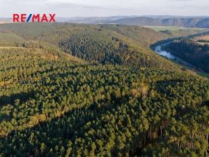Prodej lesa, Všehrdy, 35057 m2
