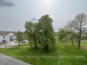 Pronájem bytu 2+kk, Pardubice, Husova, 51 m2