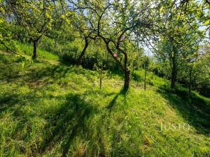 Prodej rodinného domu, Uherské Hradiště, U Cihelny, 192 m2