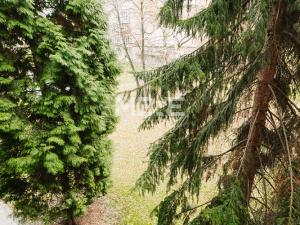 Pronájem bytu 2+1, Karviná - Nové Město, Cihelní, 60 m2