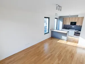 Prodej bytu 3+kk, Praha - Žižkov, Seifertova, 86 m2