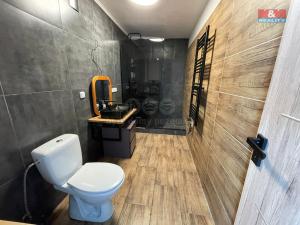 Prodej obchodního prostoru, Příšovice, 70 m2