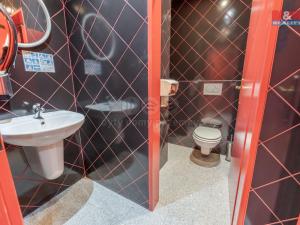 Prodej obchodního prostoru, Praha - Troja, Olštýnská, 450 m2