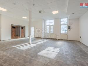 Prodej obchodního prostoru, Praha - Troja, Olštýnská, 450 m2