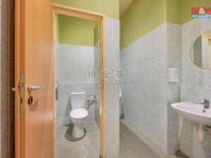 Prodej obchodního prostoru, Praha - Troja, Olštýnská, 450 m2