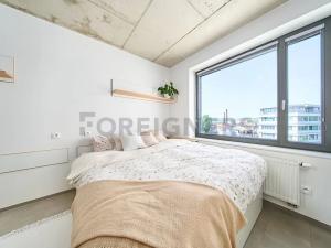 Pronájem bytu 1+kk, Brno, Dornych, 22 m2