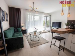 Pronájem bytu 1+kk, Brno, Sportovní, 33 m2