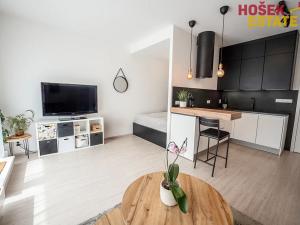 Pronájem bytu 1+kk, Brno, Sportovní, 33 m2