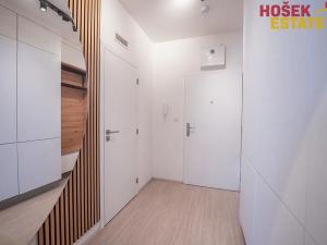 Pronájem bytu 1+kk, Brno, Sportovní, 33 m2