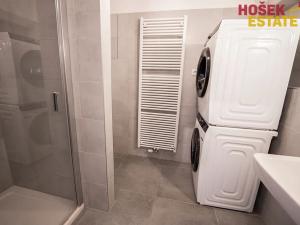 Pronájem bytu 1+kk, Brno, Sportovní, 33 m2