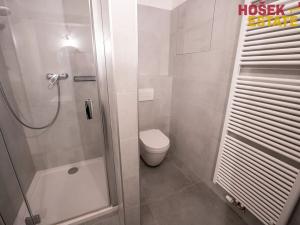 Pronájem bytu 1+kk, Brno, Sportovní, 33 m2