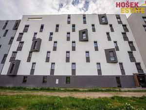 Pronájem bytu 1+kk, Brno, Sportovní, 33 m2