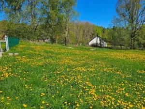 Dražba louky, Omlenice, 4505 m2