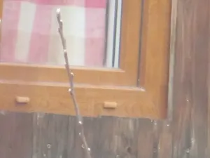 Dražba chaty, Teplice, Duchcovská, 20 m2