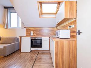 Pronájem bytu 1+kk, Olomouc, Krapkova, 25 m2