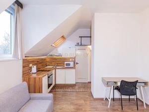 Pronájem bytu 1+kk, Olomouc, Krapkova, 25 m2