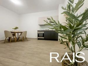 Prodej bytu 3+kk, Brno, Masarykova, 64 m2