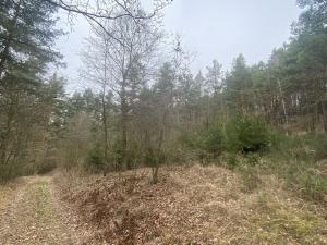 Prodej lesa, Miloňovice - Sudkovice, 2768 m2