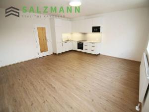 Pronájem bytu 2+kk, Plzeň, Poděbradova, 61 m2