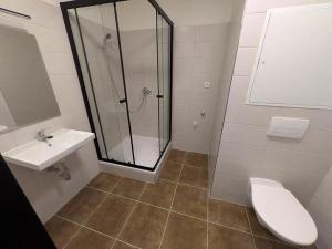 Pronájem bytu 1+1, Most, Javorová, 35 m2