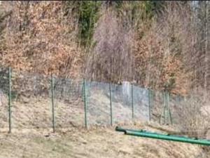 Prodej pozemku, Červená Voda, 463 m2
