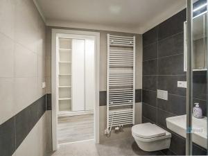 Pronájem bytu 1+kk, Český Krumlov, Za Jitonou, 43 m2