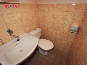 Prodej rodinného domu, Velim, Dvořákova, 90 m2