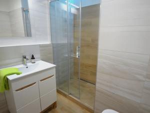 Pronájem bytu 1+kk, Frýdek-Místek, Hasičská, 31 m2