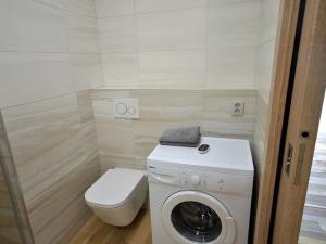 Pronájem bytu 1+kk, Frýdek-Místek, Hasičská, 31 m2