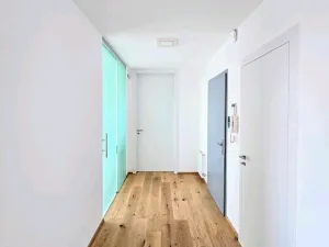 Pronájem bytu 4+kk, Praha - Smíchov, U Dívčích hradů, 119 m2