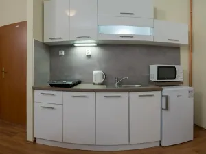 Prodej ubytování, Dolní Moravice, 170 m2