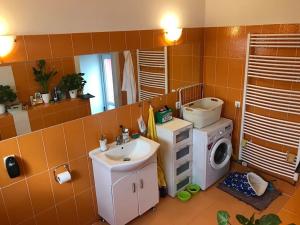 Pronájem bytu 1+1, Brno, Kociánka, 50 m2