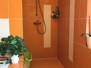 Pronájem bytu 1+1, Brno, Kociánka, 50 m2