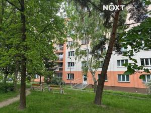 Pronájem bytu 2+kk, Plzeň, Rodinná, 58 m2