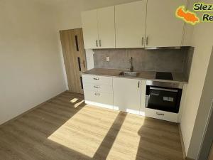 Pronájem bytu 1+1, Ostrava, Klegova, 40 m2