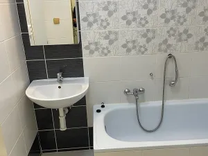 Pronájem bytu 1+1, Havířov, Karolíny Světlé, 36 m2
