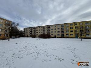 Pronájem bytu 2+1, Havířov, Dělnická, 50 m2