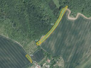 Prodej podílu pole, Hoštice, 17754 m2