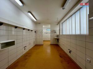 Pronájem obchodního prostoru, Ústí nad Orlicí, T. G. Masaryka, 130 m2