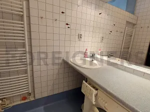 Pronájem bytu 3+kk, Olomouc, Remešova, 65 m2