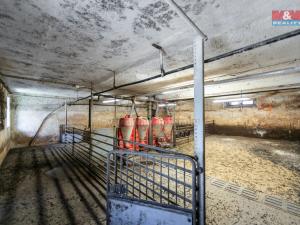 Prodej zemědělského objektu, Mrákov - Starý Klíčov, 1446 m2