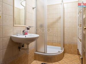 Prodej ubytování, Přídolí, 430 m2