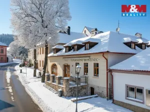 Prodej ubytování, Přídolí, 430 m2
